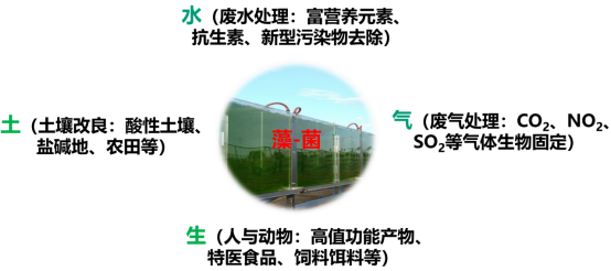 3984325cd9df4c19988fa1407ee68130.png 3984325cd9df4c19988fa1407ee68130.png
